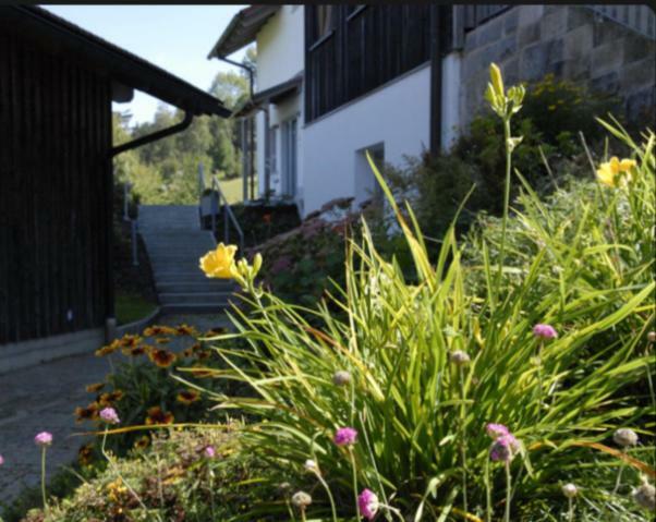 Lichteck - Helle Ferien Apartment Breitenberg  Exterior photo